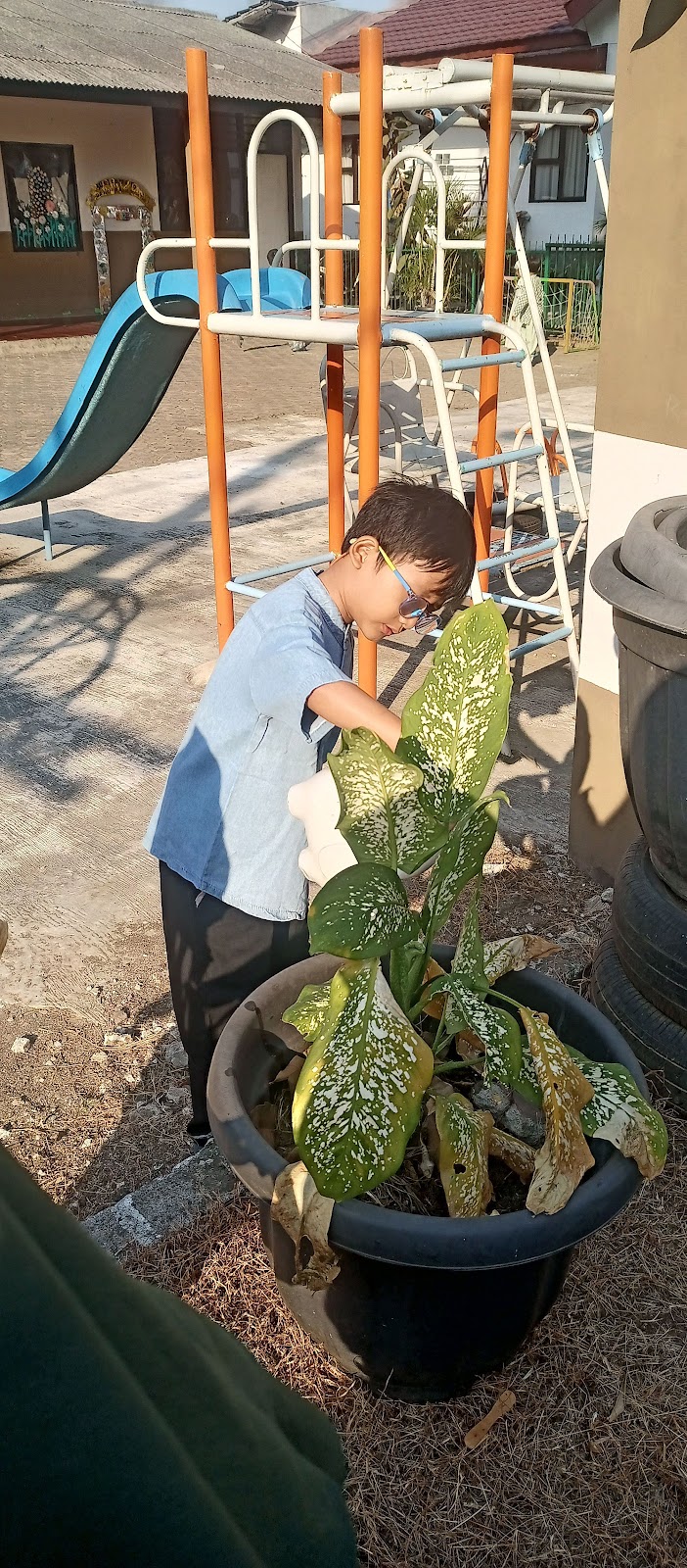 Anak merawat tanaman dalam pot
